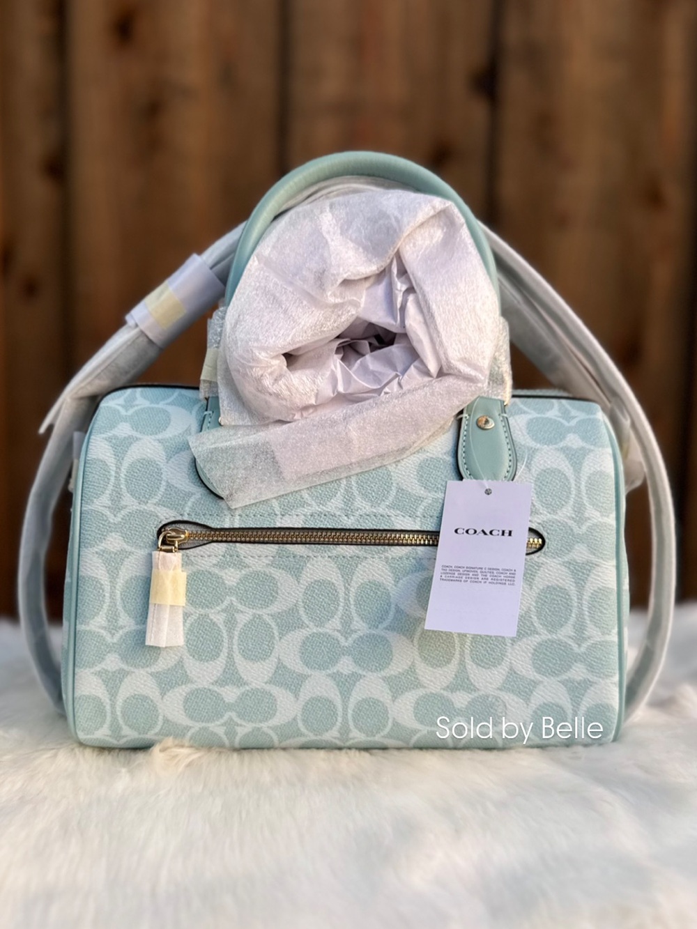 NWT Coach Rowan Satchel Bag In Signature Canvas in Light Blue - Picture 2 of 4